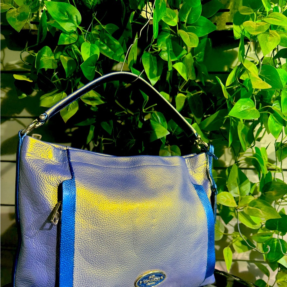 IRIDESCENT Silver Blue & Metallic Dark Blue Leather Large Coach Purse
